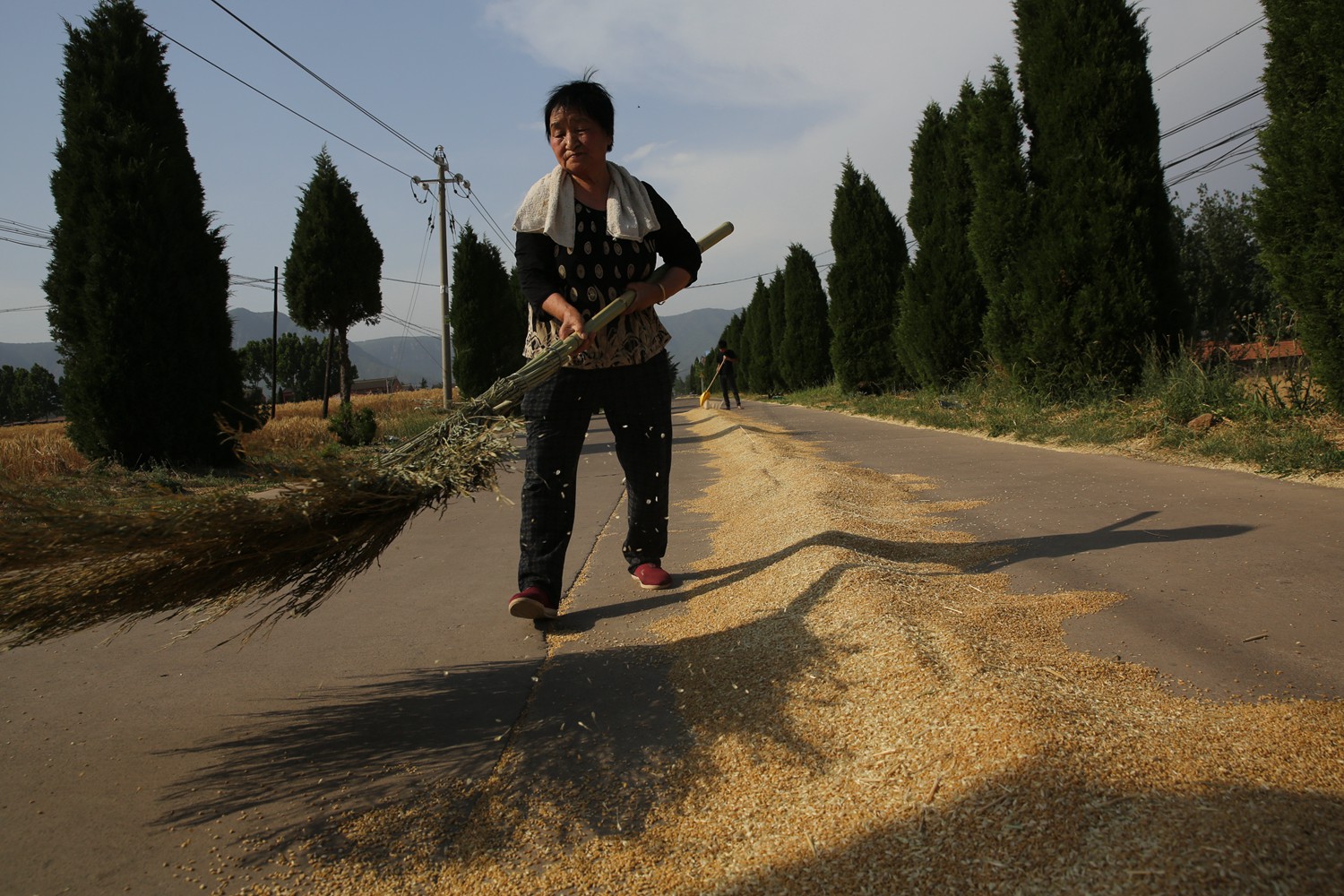 割麦神器大全视频,农民割麦用什么神器