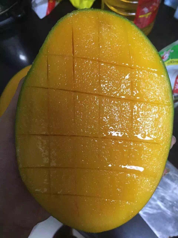 海南旅游海口到三亚自由行,从海口到三亚感受海南的无限魅力