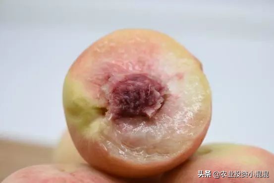 猕猴桃中国最好吃的品种,中国猕猴桃什么品种最好吃