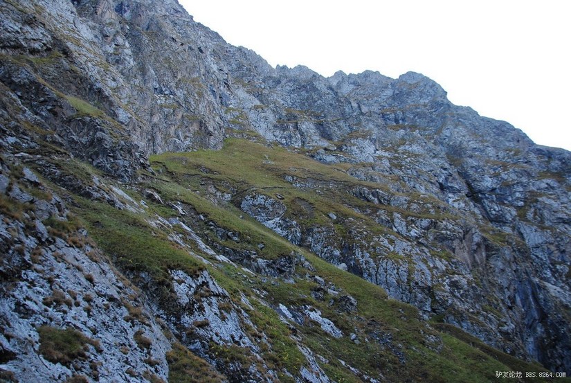 狼c调简谱教唱,狼c