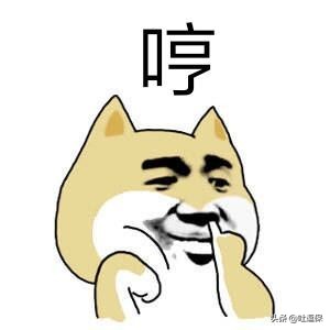 哪个保险公司的客服体验最好？