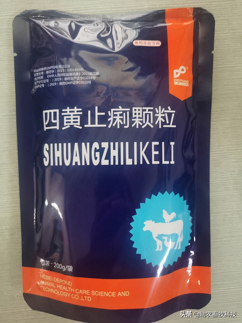 鹅肠道病的症状与治疗,快速判断鹅病的四种方法