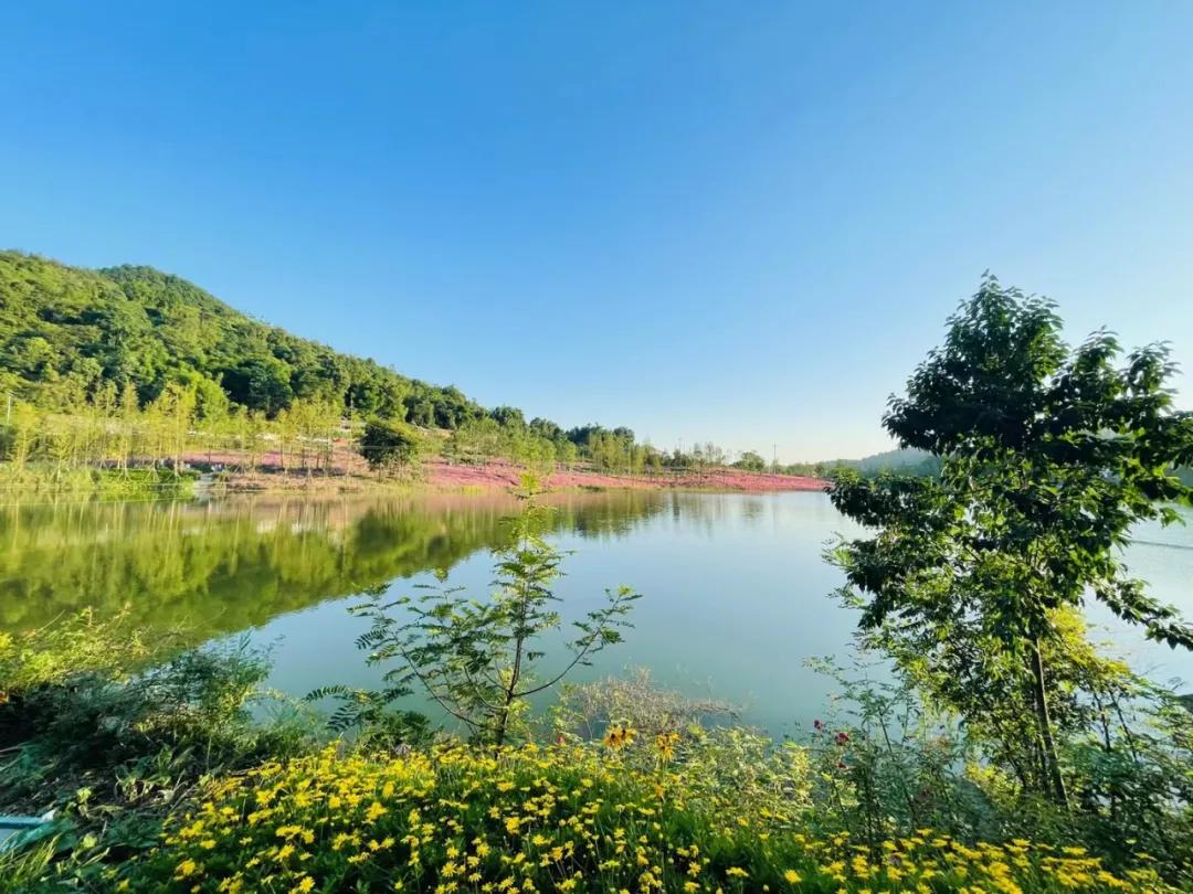 重庆主城网红打卡地景点推荐,重庆新网红地打卡