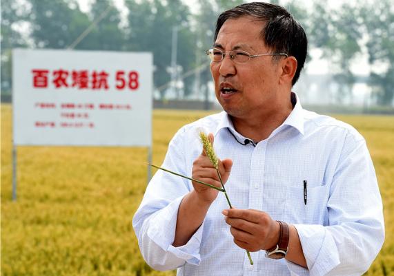 大国粮仓纪录片多长时间,大国粮仓纪录片黄金根