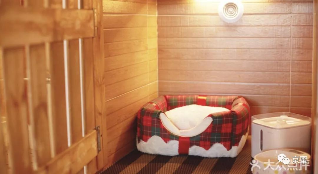 出租屋饲养宠物,出租屋为什么不能养宠物