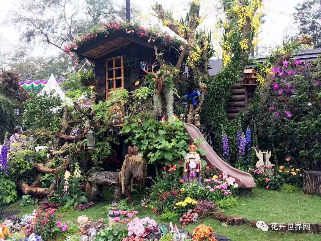 香港花卉艺术展,共赴盛会活动