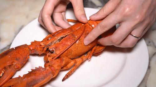 波龙海鲜品质私人套餐,波龙海鲜优惠团购