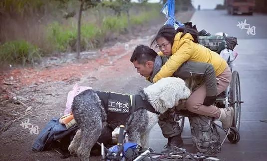 被丁一舟赖敏的爱情感动流泪,丁一舟赖敏结婚照片