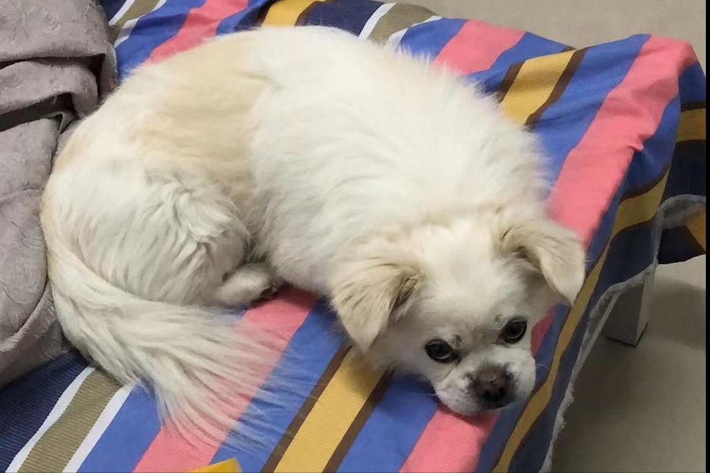 一周花20元——十块钱过一天，52岁女人用千元退休金生活之5