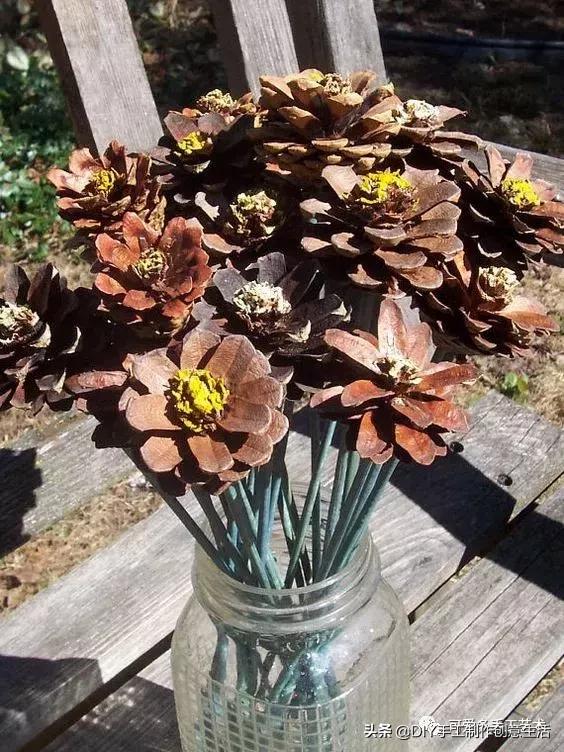 坚果壳吃完不要扔垃圾桶,坚果果壳做手工