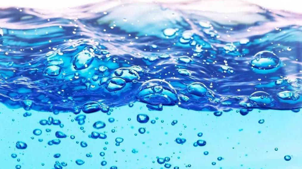 野生鲫鱼凶吗,鲫鱼生命力有多恐怖