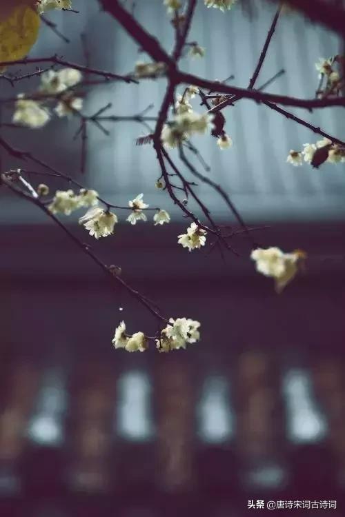 古诗词拨动了我的心弦,拨动我心弦古诗词