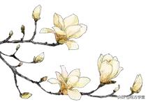 国医大师讲述从医60年的心得之路,国医大师路志正所写医书