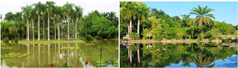 西双版纳景点、门票大全