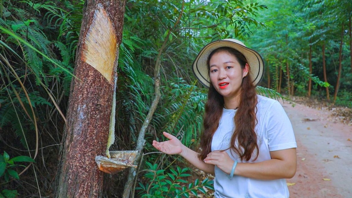 环广西8天游攻略,环广西7天自驾游