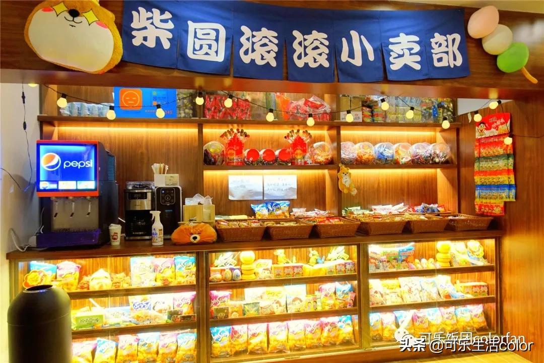 撸柴犬店广州,撸柴宠物乐园