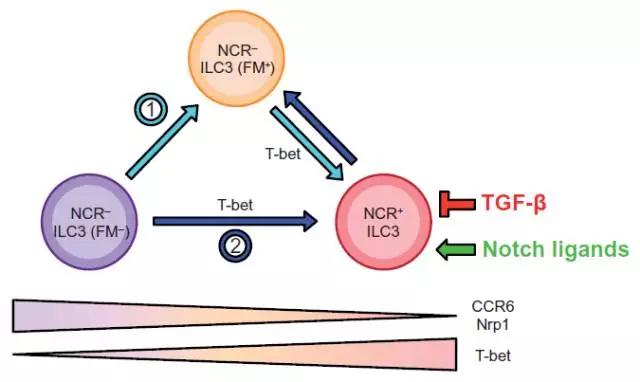 硬货的解析,硬货必买的10种