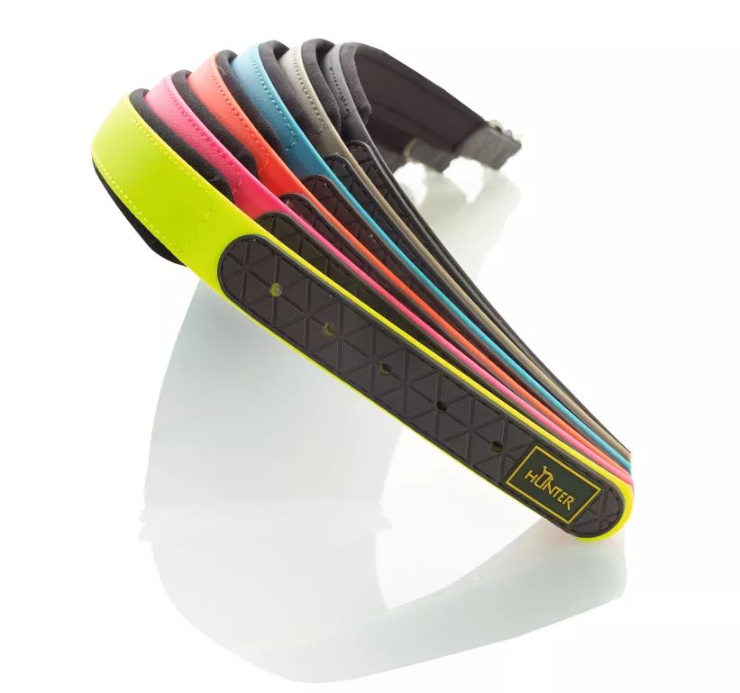 全球宠物展览会举办最多的地方,十月宠物展会时间表