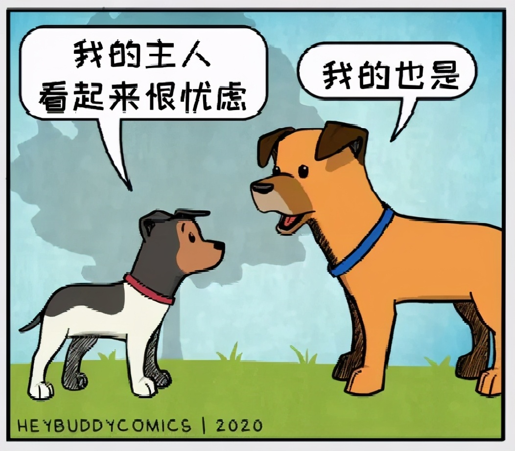 猫和铲屎官漫画全集,铲屎官和狗子的漫画