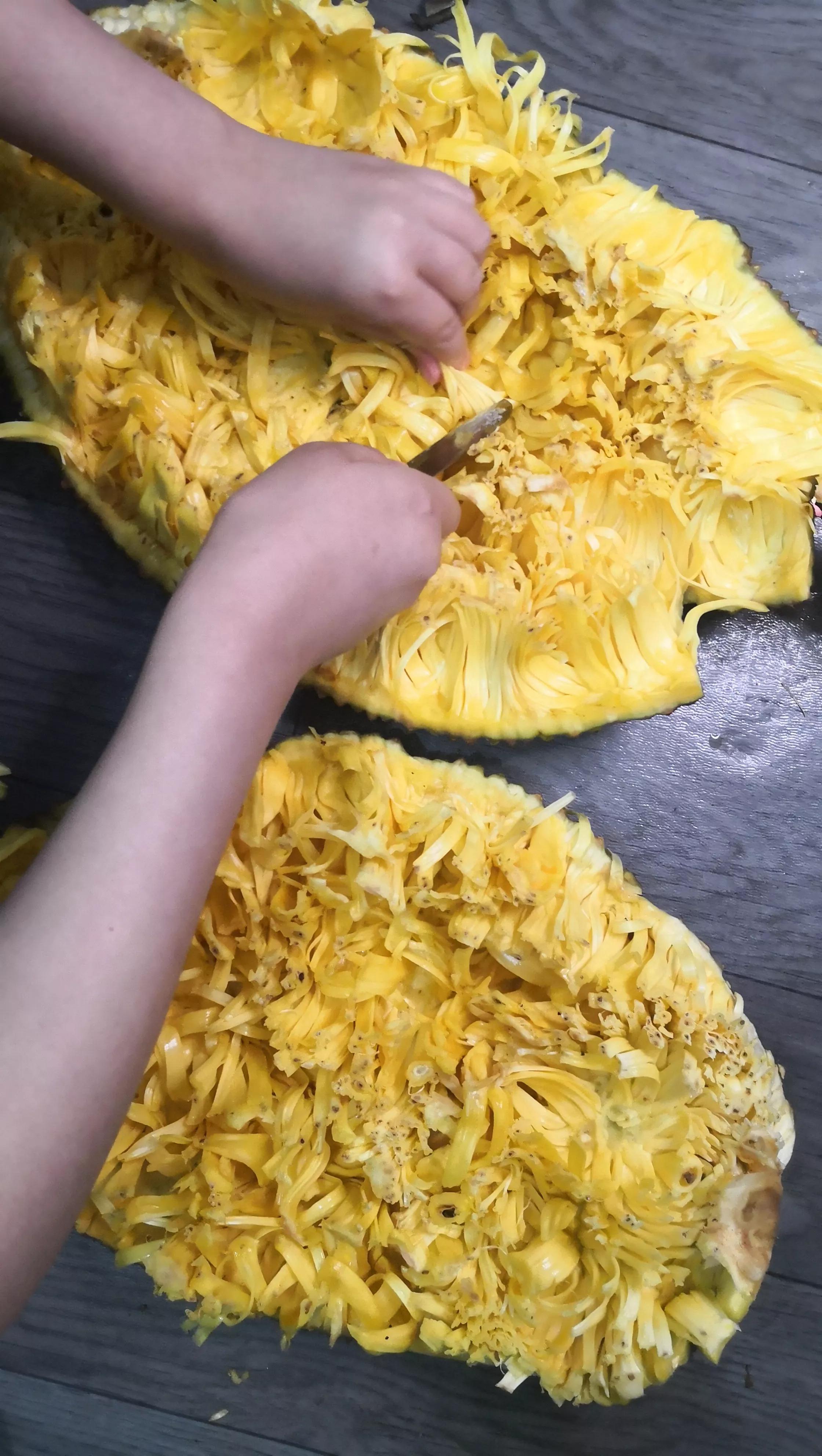 剥菠萝蜜全套,剥菠萝蜜技术活