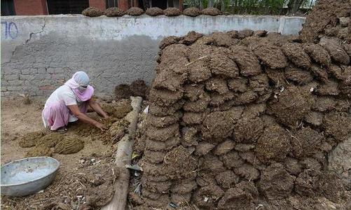 农村有哪些冷门又挣钱的工作,农村有什么冷门生意可做