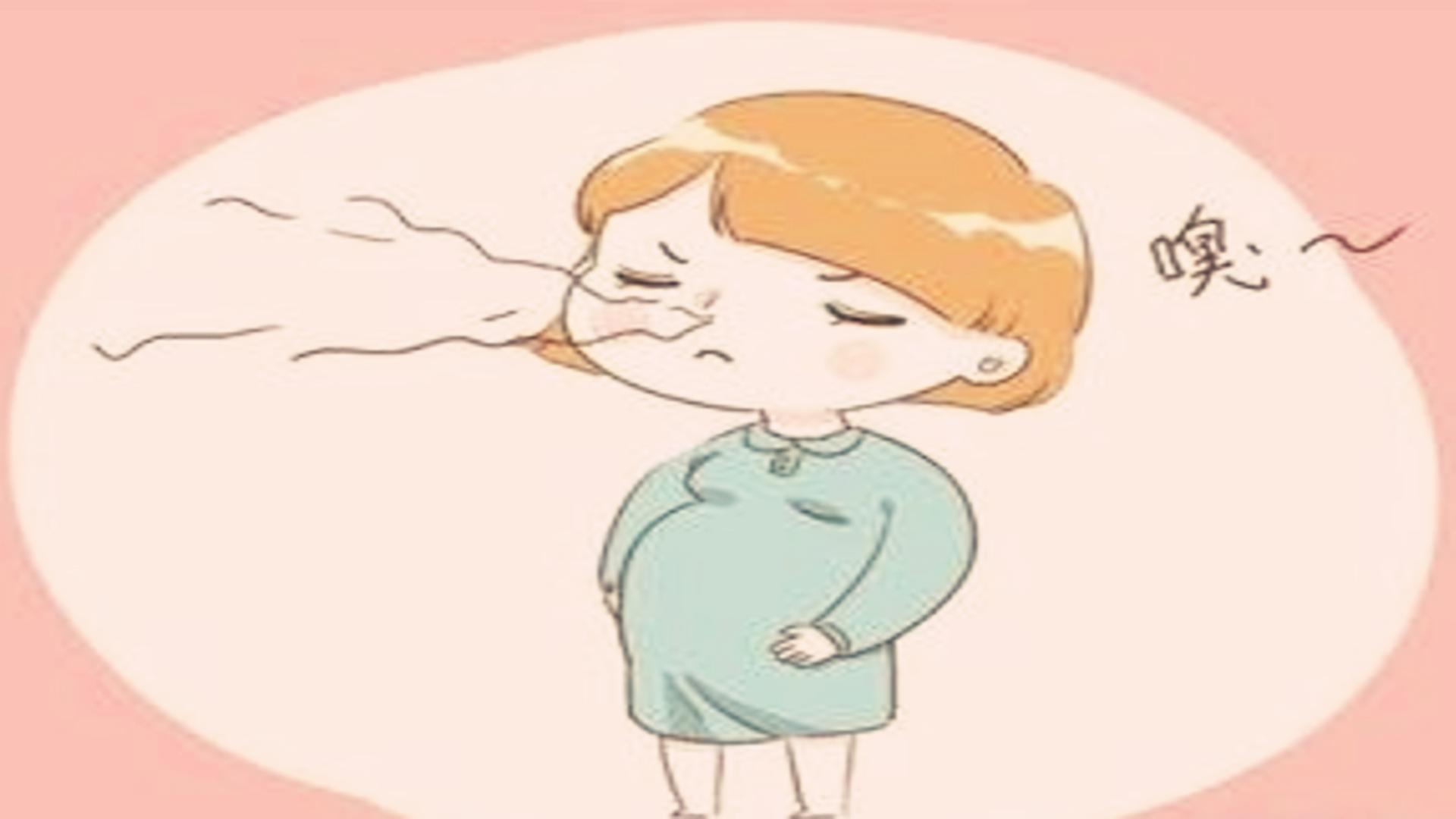 孕妇有这四种味道,孕妇身上有哪几种味道
