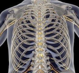 带你了解健康最重要,带你了解最全面的感觉统合知识