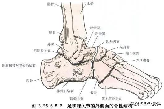 习惯性脚踝扭伤3年怎么治疗,习惯性扭伤脚踝隐隐作痛
