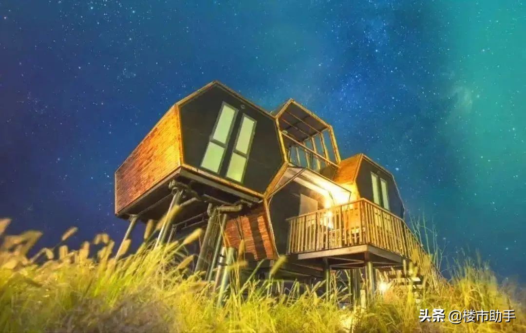 八月活动指南｜在夏日海边的音乐航线中，漫游星际银河