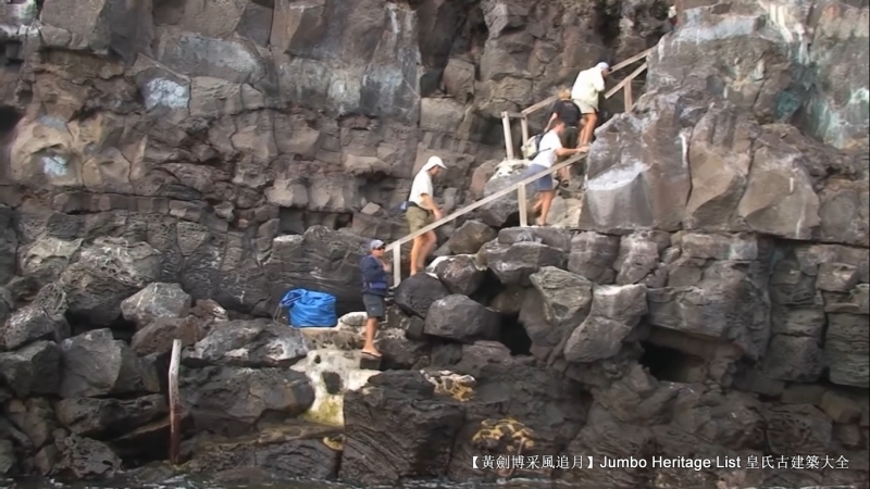 世界上最长寿的象龟多少岁,迄今发现最长寿的龟