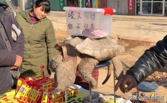 接下来一个月，农村集市上将出现1种“*局骗**”，每年有不少人上当
