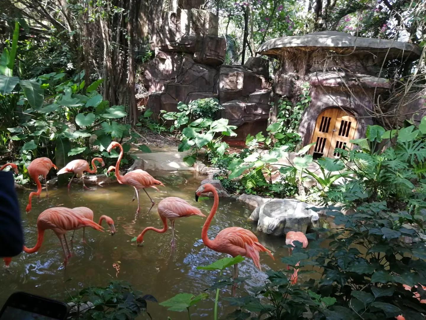 广州地铁3号线旅游攻略图,广州番禺广场地铁站旅游攻略