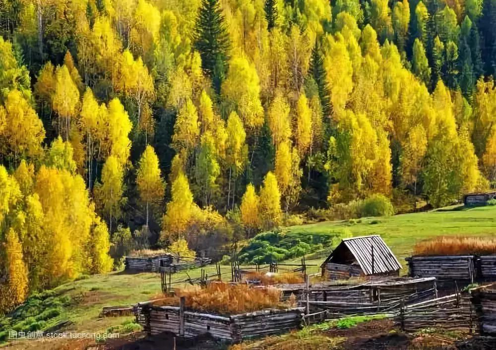 各地人性格特点,全国各地人性格特点总结