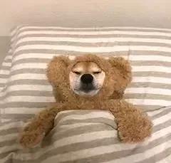 一坐车就犯困是怎么回事,一坐车就犯困是种病吗