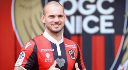 斯内德和里贝里,斯内德和格列兹曼