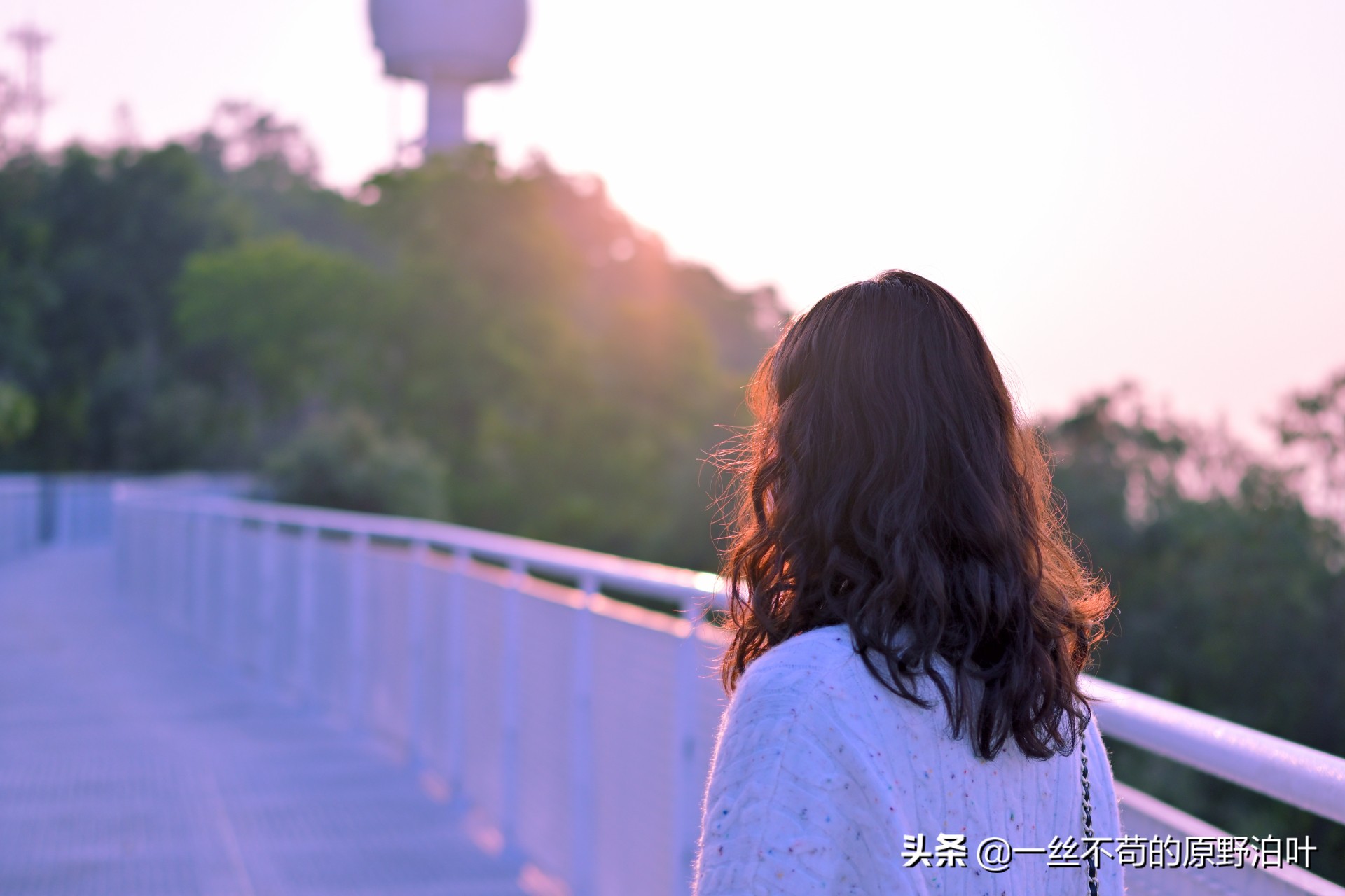 尼康z501.8s镜头优缺点,尼康z501.2s优点和缺点