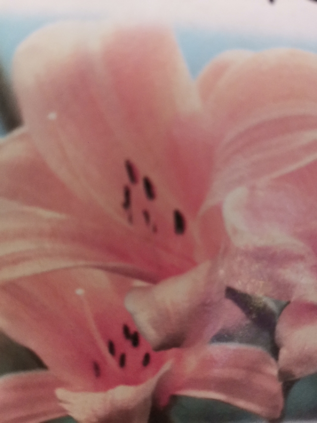 我的门诊故事,我的门诊故事2019