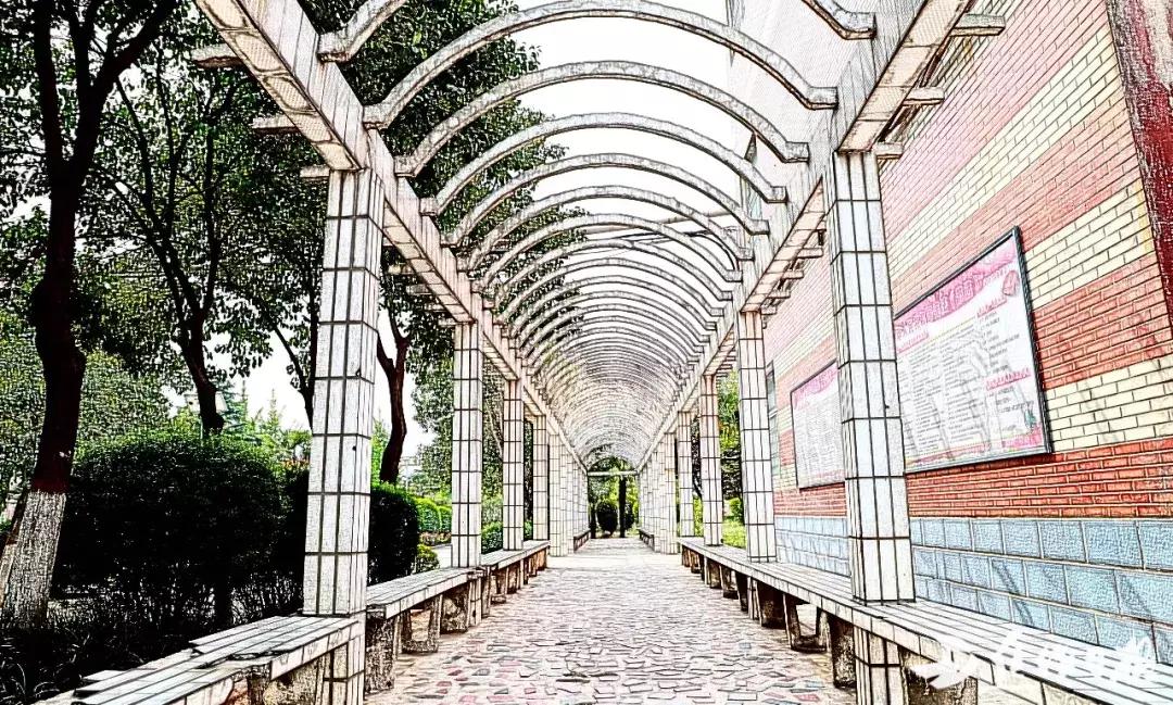 焦作市第四中学龙翔校区,焦作市第四中学哪个区