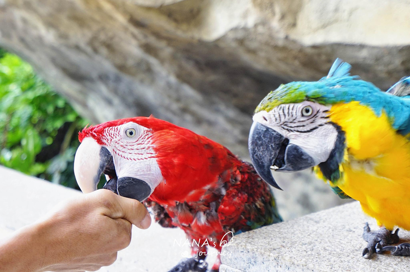 欢乐谷刺激的项目,欢乐谷最刺激的娱乐项目