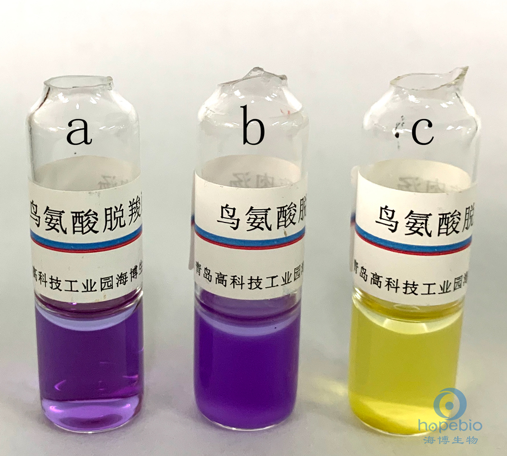 普通变形杆菌有哪些,为什么奇异变形杆菌那么难治