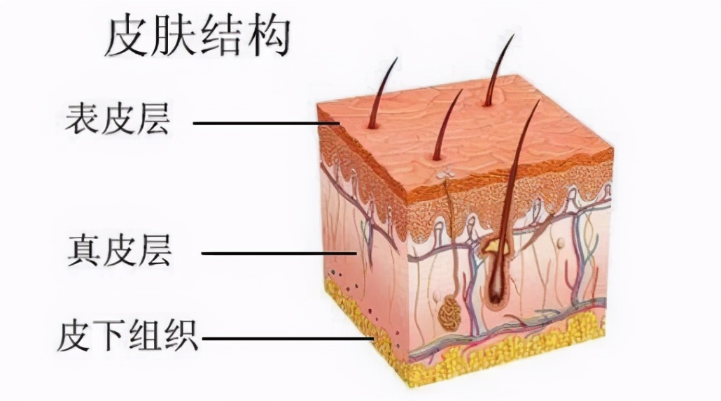 疤痕现在怎么治效果最好,疤痕问题解答