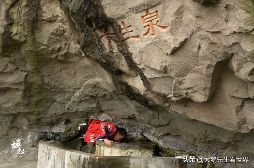 世界上最大的龟比地球还要大,世界上最大的鬼有多大