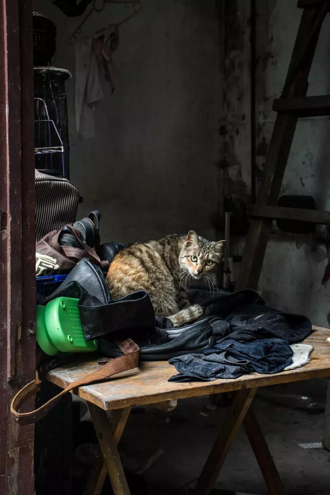 成都观行丨少城(一)包家巷99号,被遗忘的谢公馆