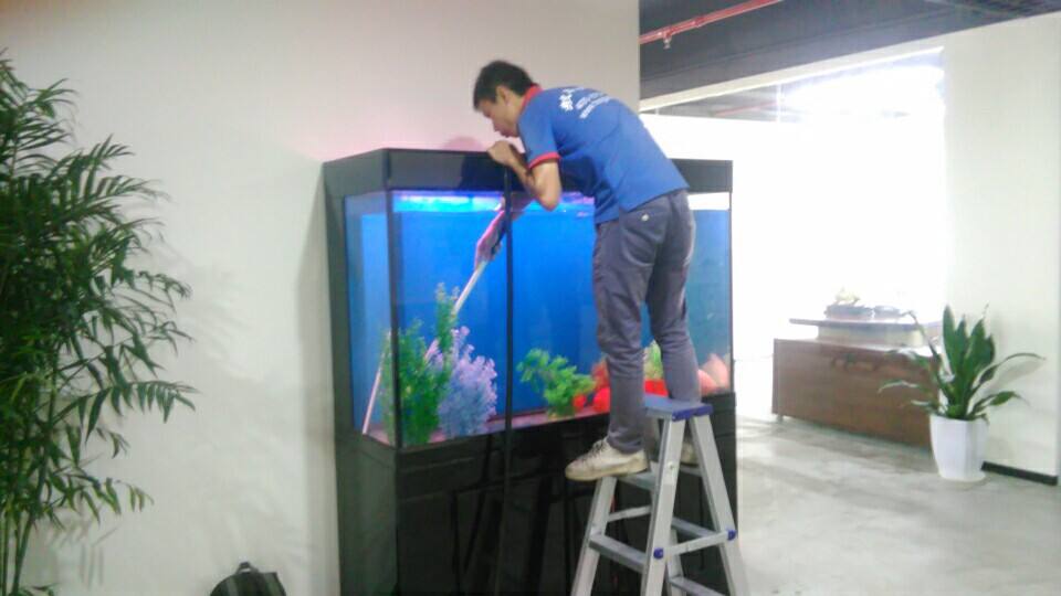 如何让鱼缸自己建立硝化系统,新手鱼缸怎么快速建立硝化系统