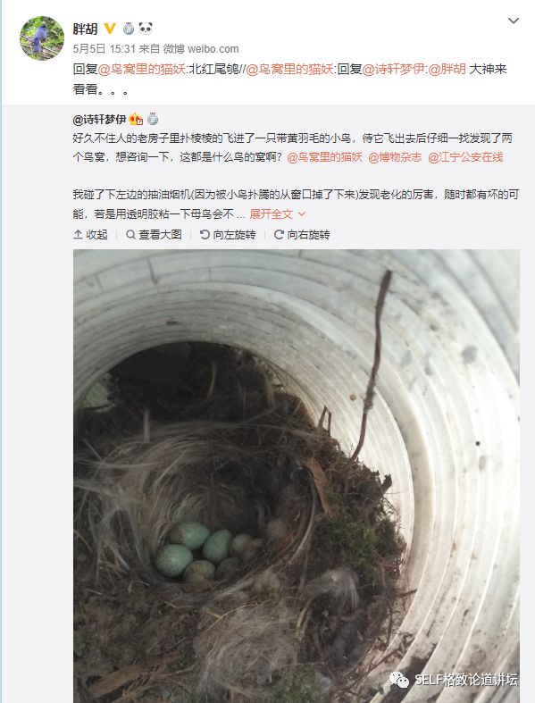 科学家如何观察植物,鸟类的研究方法