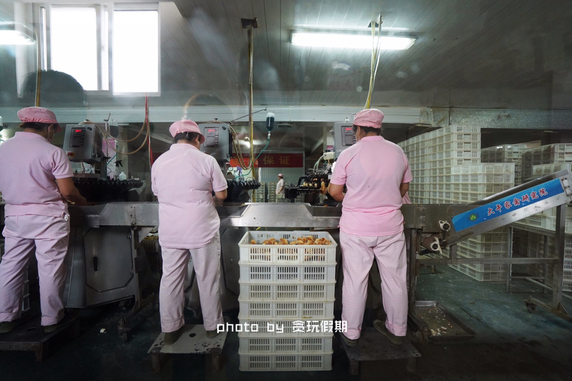 春节玩转西山温泉乐园,徐水大午农业观光园有什么好玩的