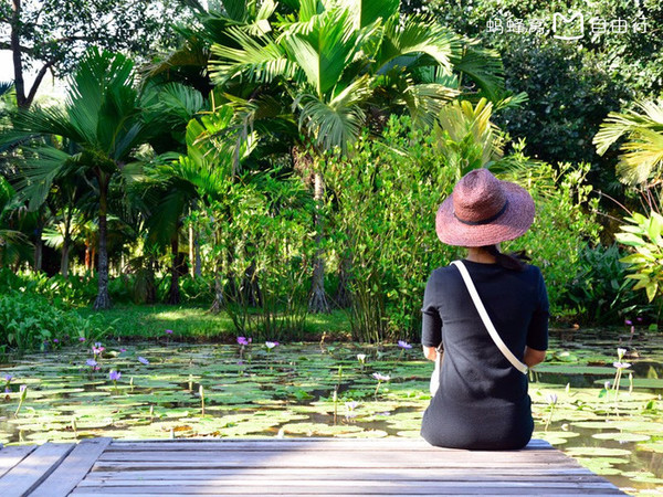 了解西双版纳的风俗和民族文化,西双版纳哈尼族特色民族文化