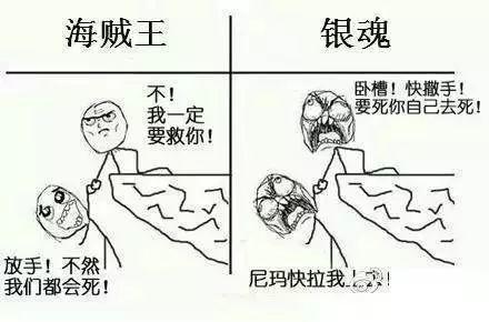 大哥，你们节操全掉地上啦