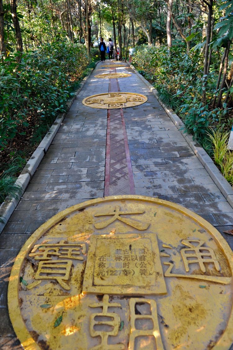 庐山西海沧海桑田岛,庐山西海之岛美景