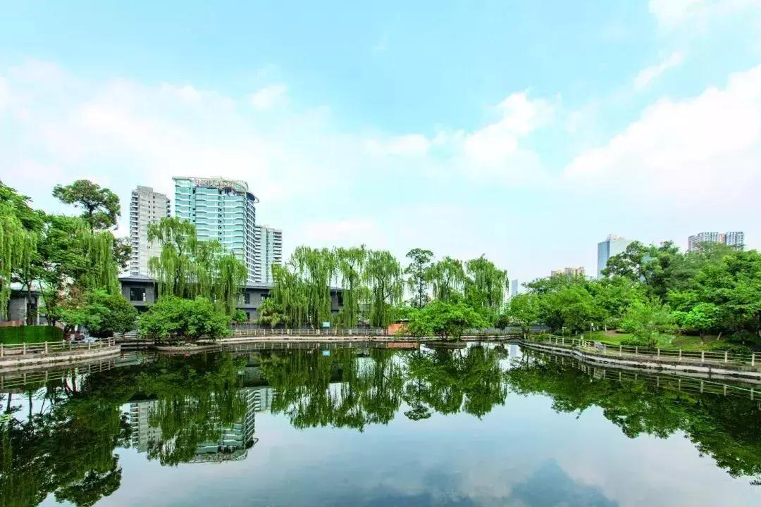 攀成钢的个人资料,攀成钢是谁